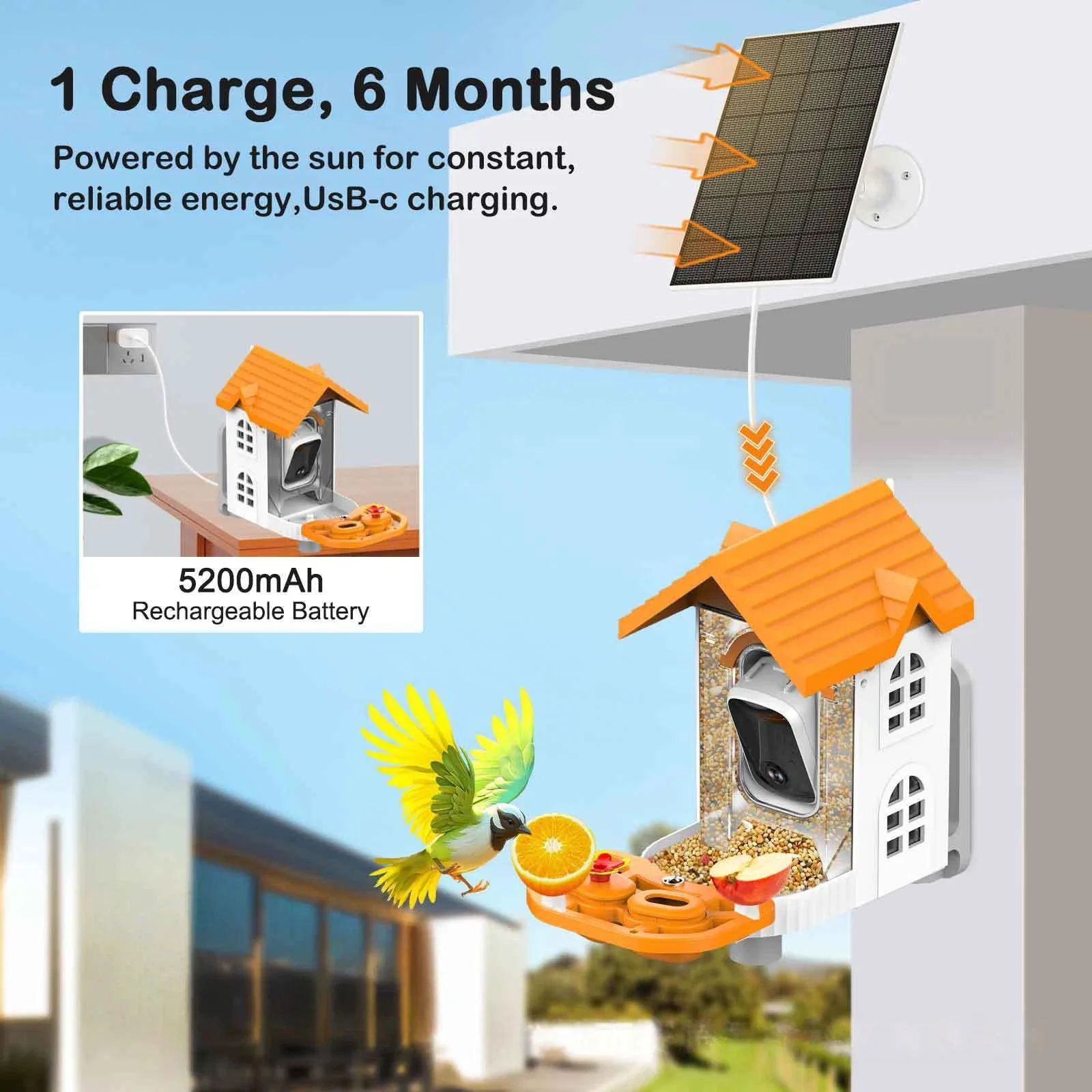 AI Smart Bird Feeder Camera 3MP 2304x1296 Video product detail 4