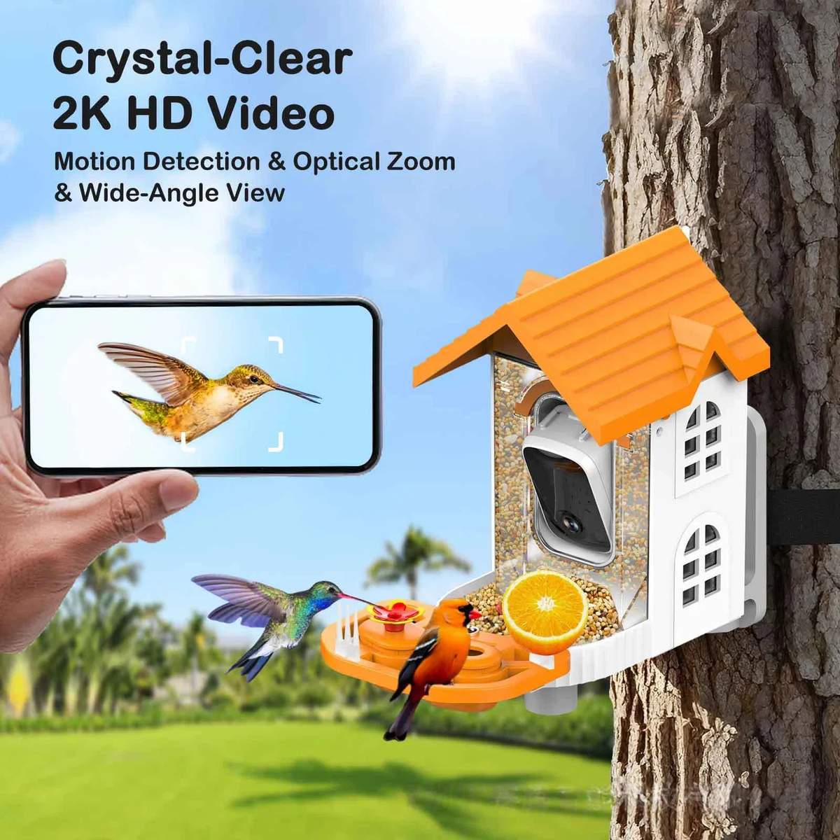 AI Smart Bird Feeder Camera 3MP 2304x1296 Video product detail 5