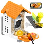 AI Smart Bird Feeder Camera 3MP 2304x1296 Video gallery 01