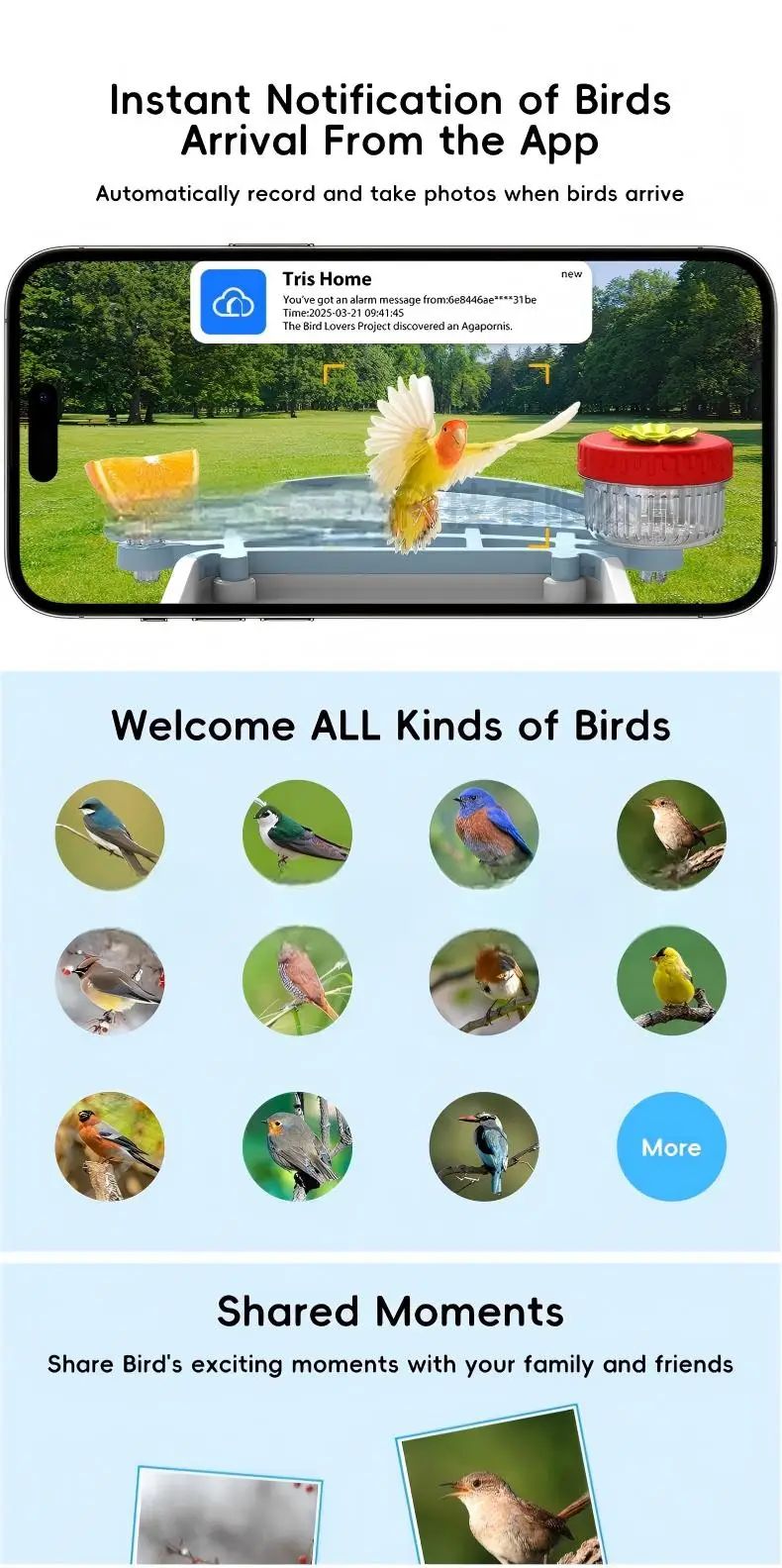 AI Smart Bird Feeder Camera Solar Powered Outdoor product detail 2