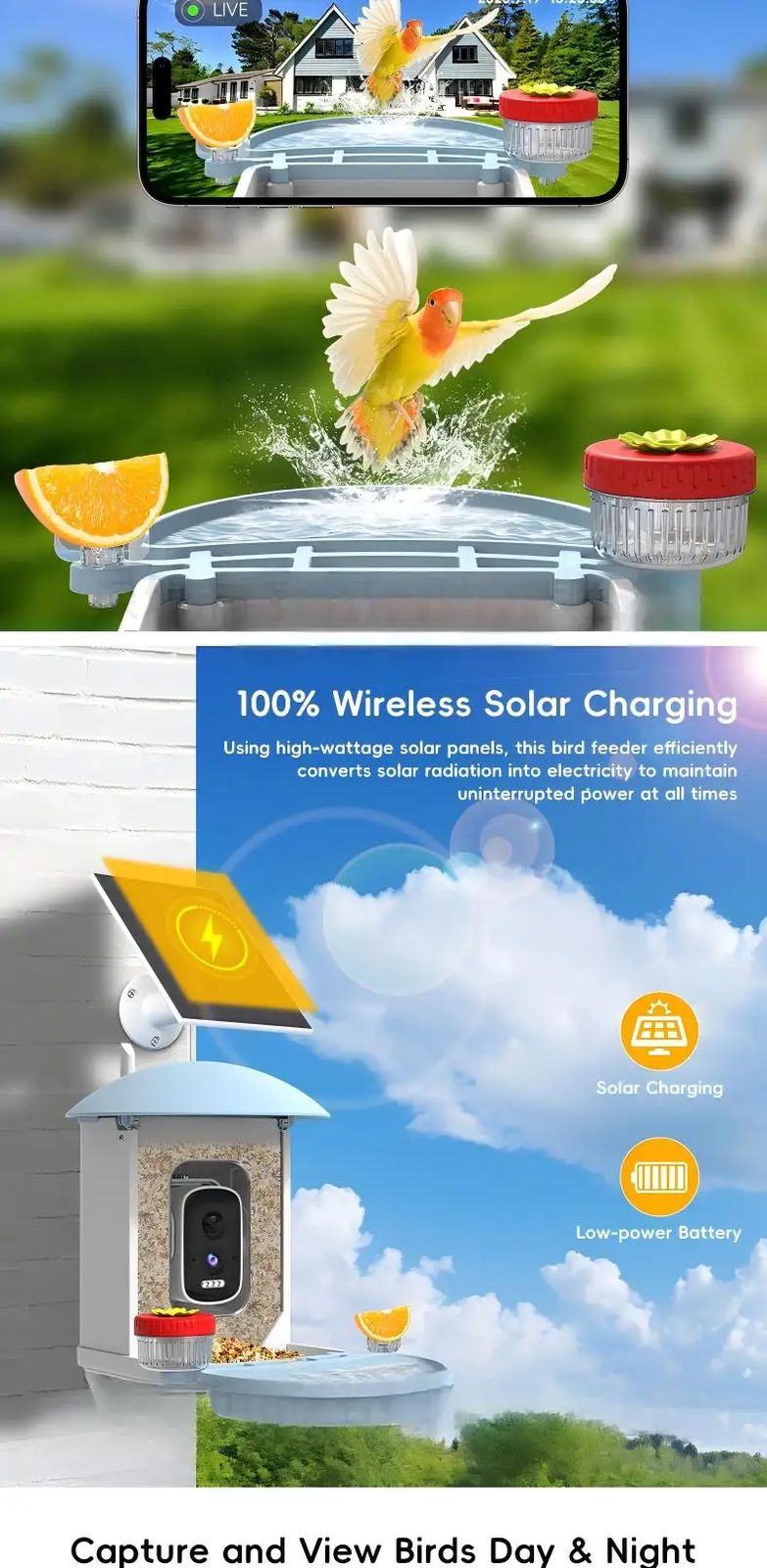 AI Smart Bird Feeder Camera Solar Powered Outdoor product detail 4