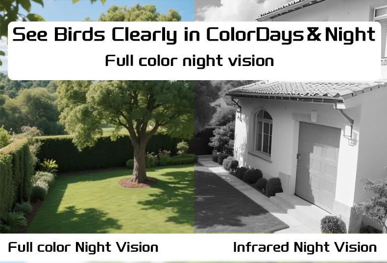 AI Smart Solar Plastic Solid Eco-Friendly Battery Bird product detail 3