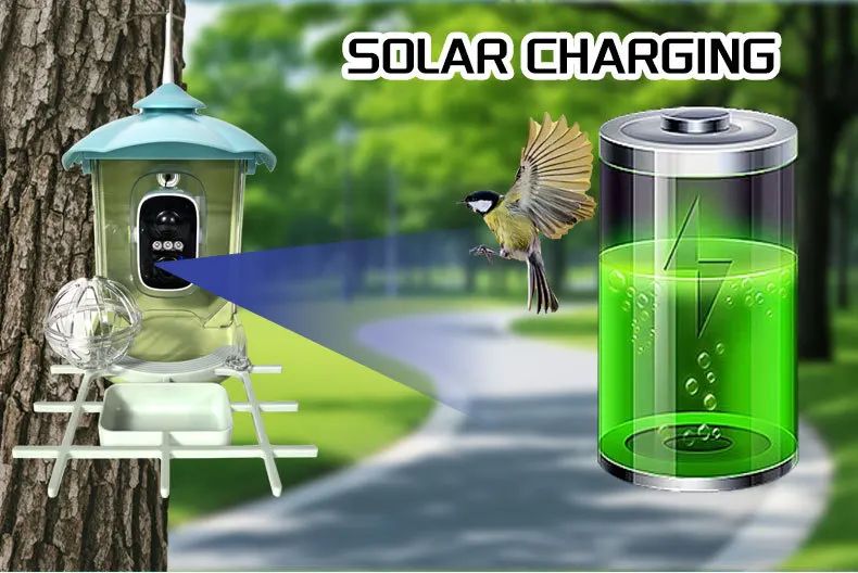 AI Smart Solar Plastic Solid Eco-Friendly Battery Bird product detail 4