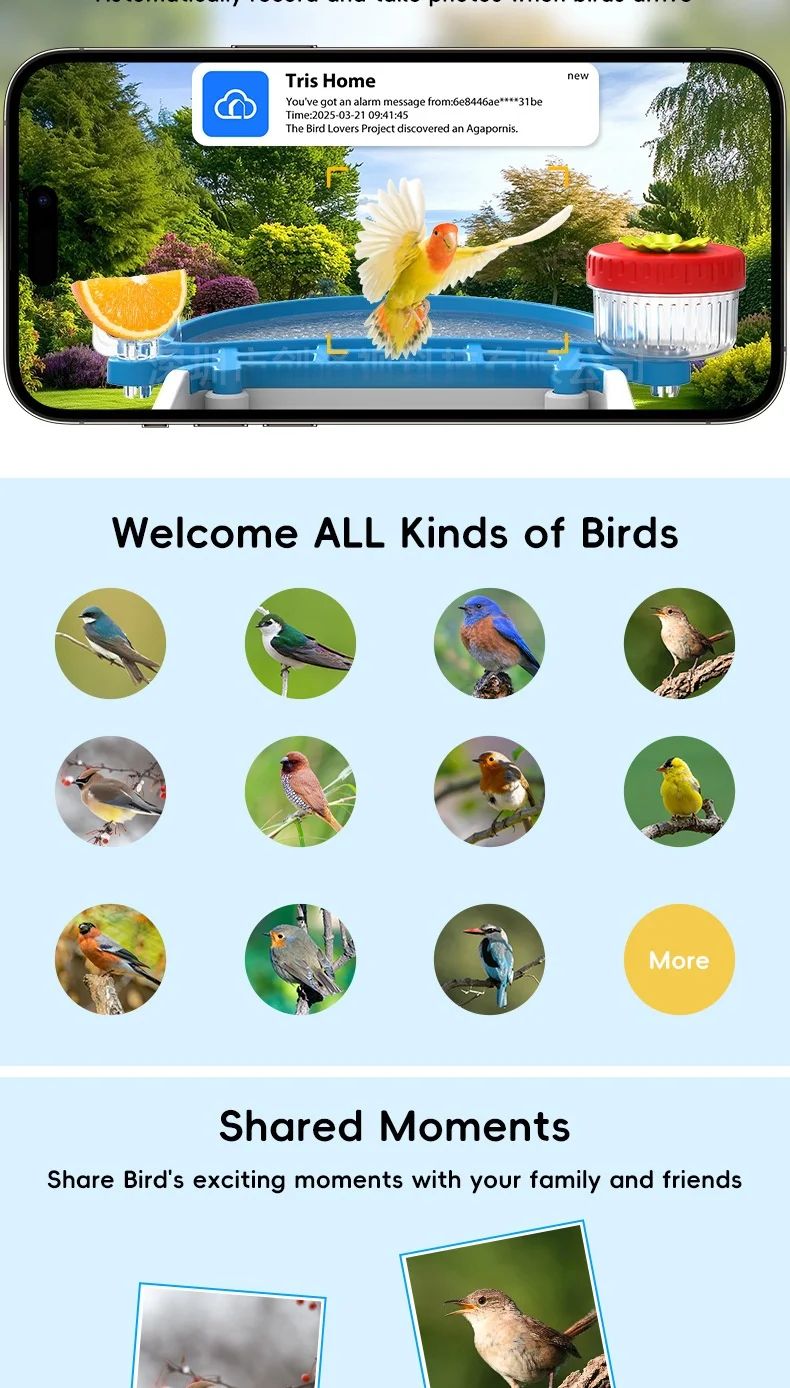 AI Smart Visual Bird Feeder Solar Power Waterproof product detail 1