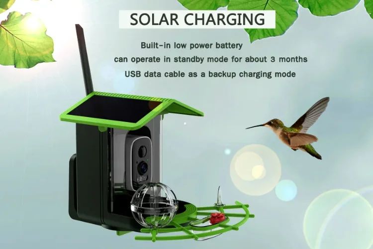 AP-BF300 Solar-Powered Lightweight Smart Bird Feeder AI product detail 2