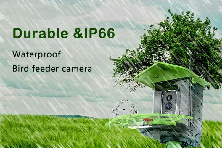 AP-BF300 Solar-Powered Lightweight Smart Bird Feeder AI product detail 7