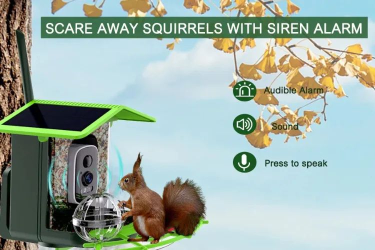 AP-BF300 Solar-Powered Lightweight Smart Bird Feeder AI product detail 8