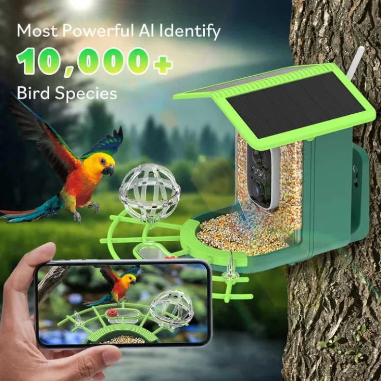 AP-BF300 Solar-Powered Lightweight Smart Bird Feeder AI product detail 9