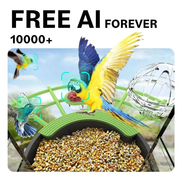 AP-BF300 Solar-Powered Lightweight Smart Bird Feeder AI product detail 18