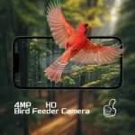 AP-BF300 Solar-Powered Lightweight Smart Bird Feeder AI gallery 04