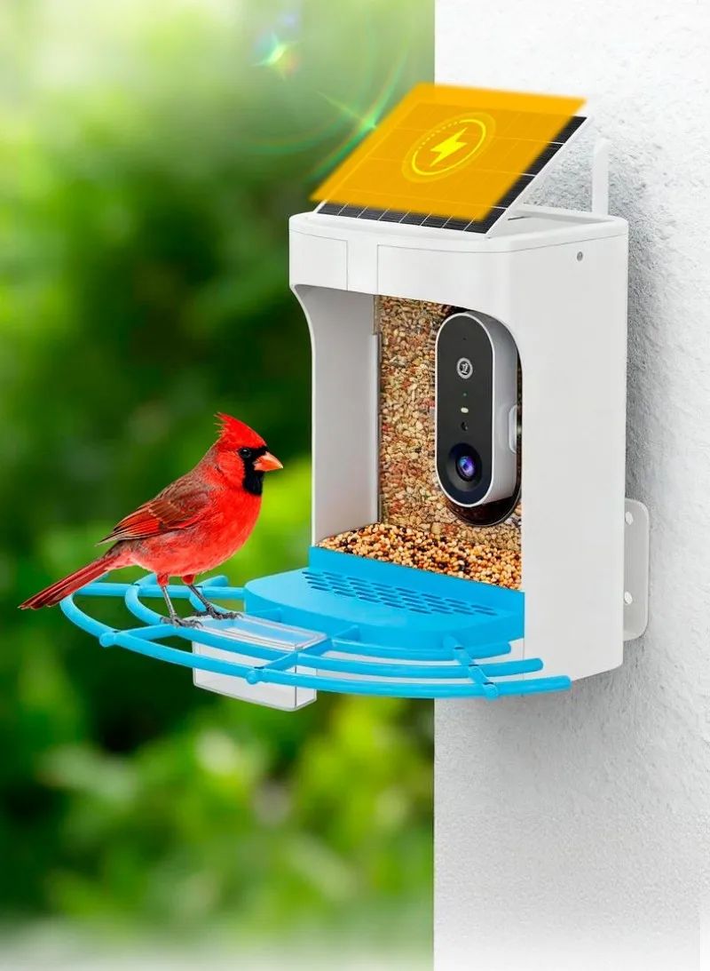 Automatic Smart Bird Feeder with Camera Solar Powered product detail 5