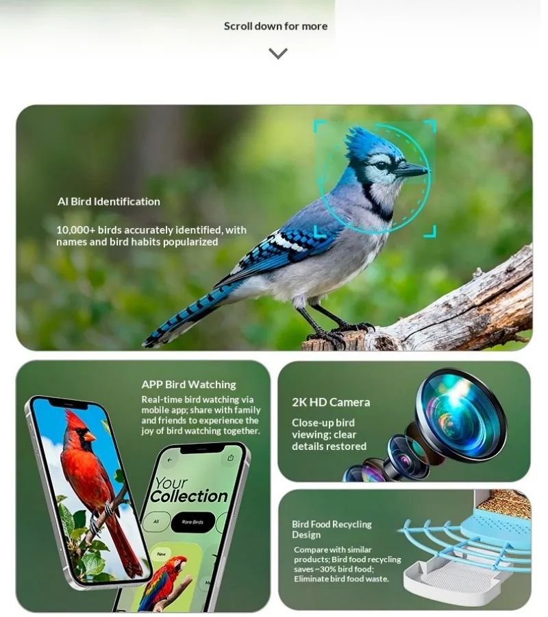 Automatic Smart Bird Feeder with Camera Solar Powered product detail 6