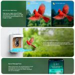Automatic Smart Bird Feeder with Camera Solar Powered gallery 04