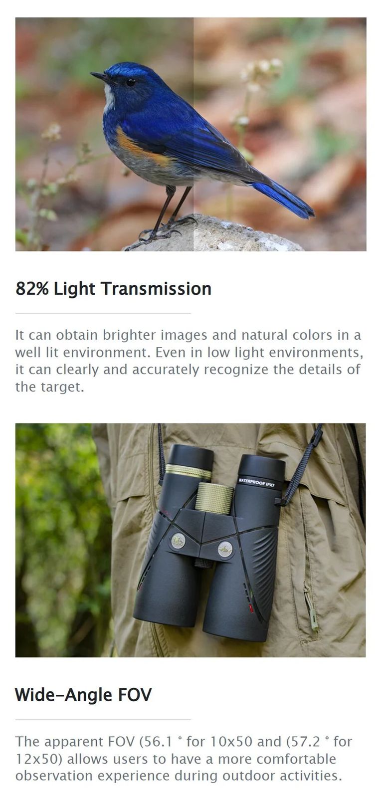 Beta2 12x50 HD Waterproof Binoculars with N2 Filled product detail 3