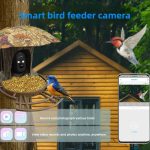 Bird Feeder Camera 2K Solar-Powered Camouflage-Style gallery 04