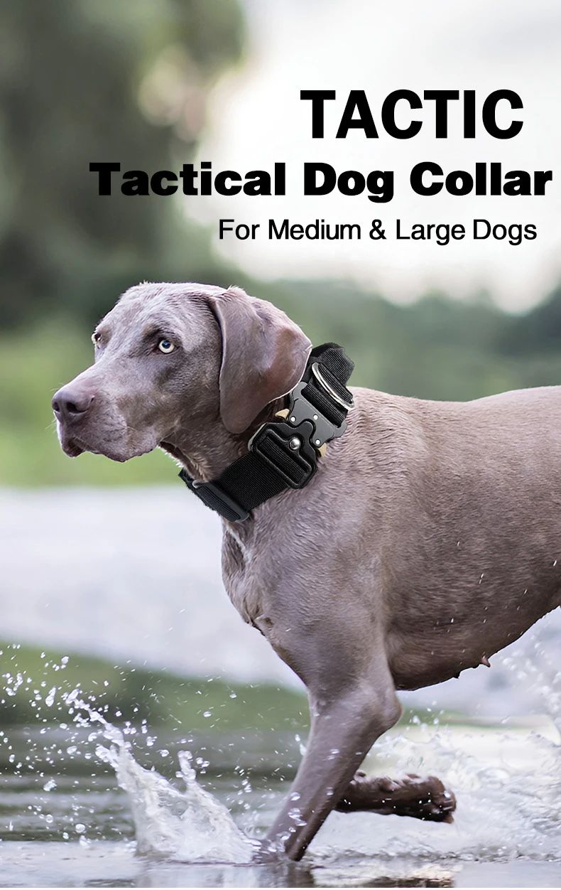 Collar Tactico Para Perros Nylon Outdoor Adjustable Medium product detail 1