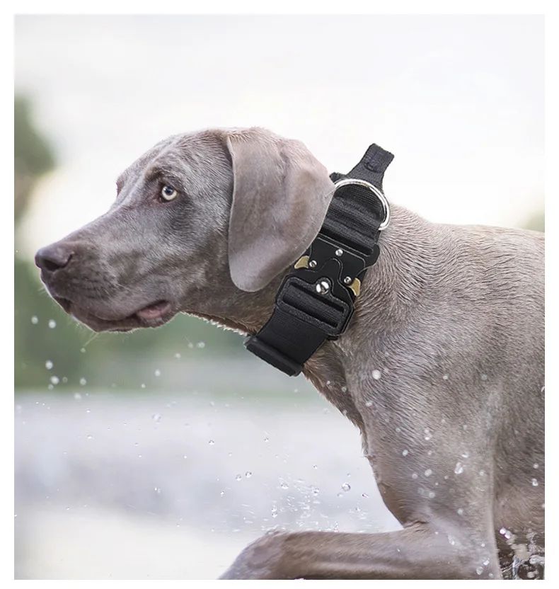 Collar Tactico Para Perros Nylon Outdoor Adjustable Medium product detail 10