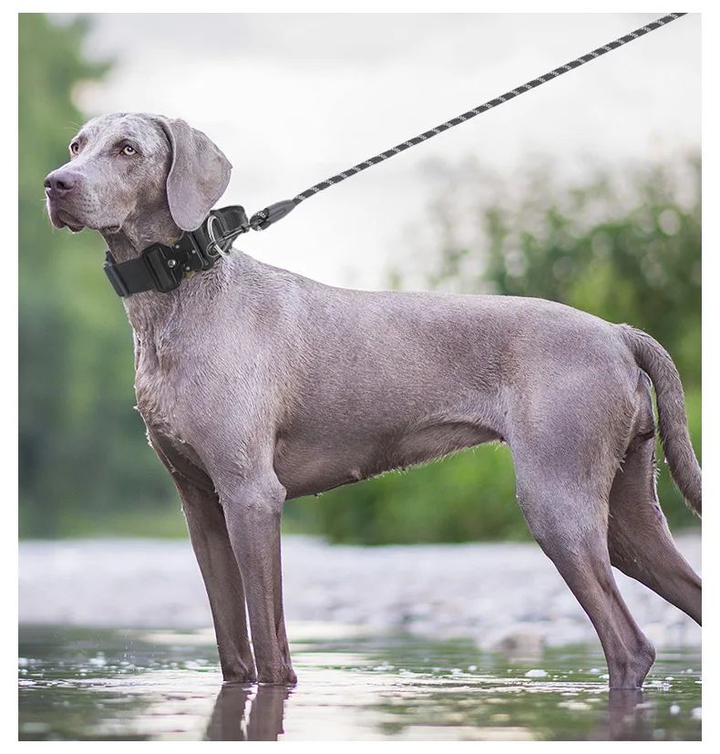 Collar Tactico Para Perros Nylon Outdoor Adjustable Medium product detail 11