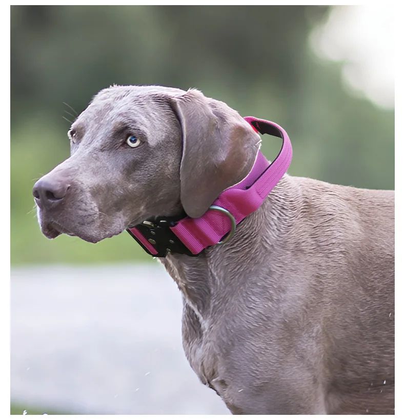 Collar Tactico Para Perros Nylon Outdoor Adjustable Medium product detail 13