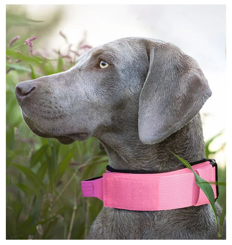 Collar Tactico Para Perros Nylon Outdoor Adjustable Medium product detail 14