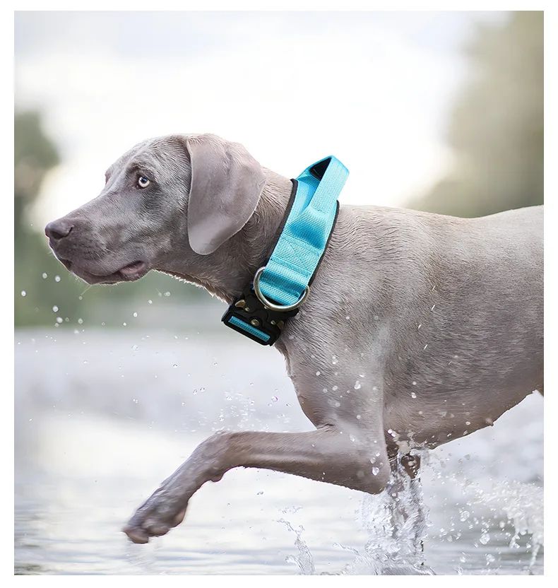 Collar Tactico Para Perros Nylon Outdoor Adjustable Medium product detail 17