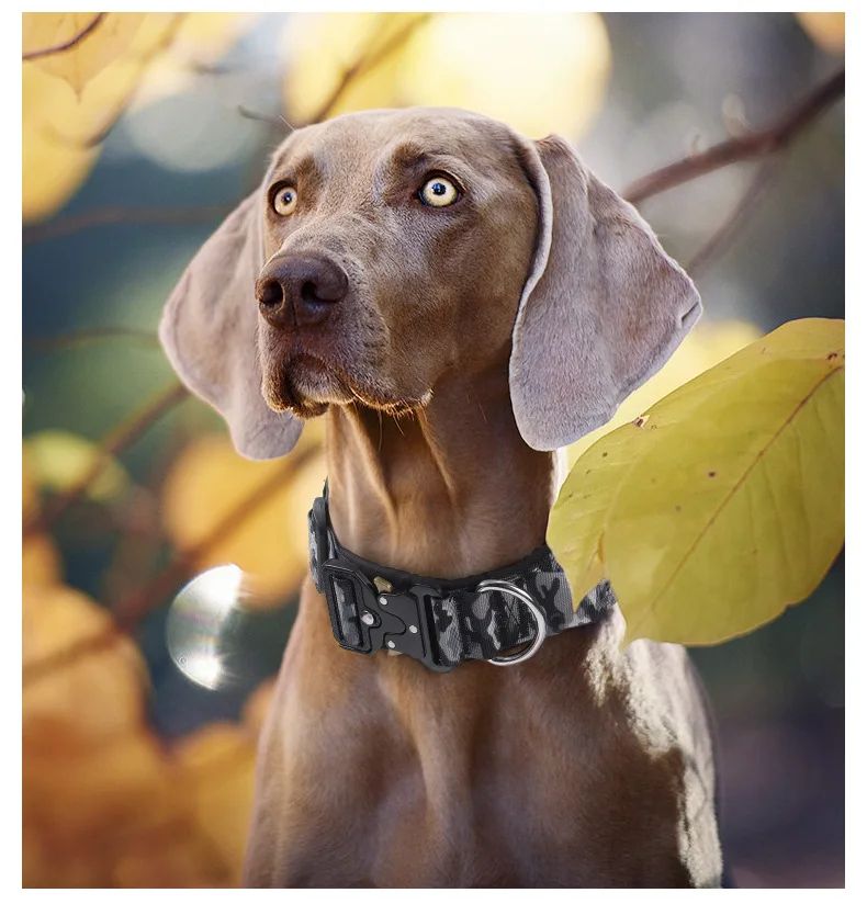 Collar Tactico Para Perros Nylon Outdoor Adjustable Medium product detail 18