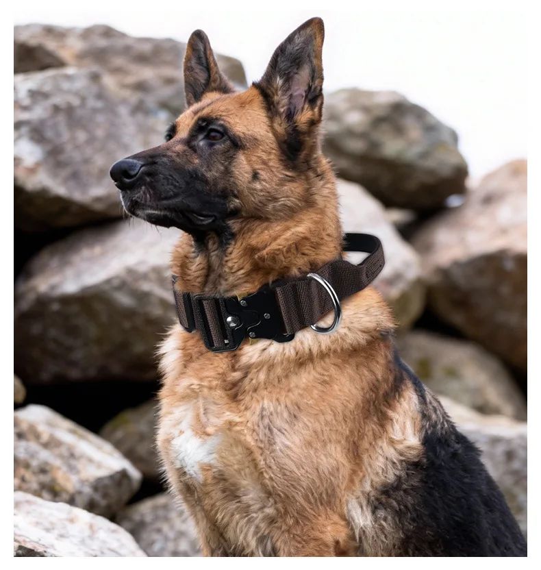 Collar Tactico Para Perros Nylon Outdoor Adjustable Medium product detail 22