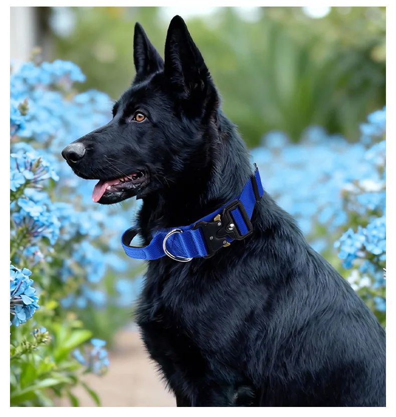 Collar Tactico Para Perros Nylon Outdoor Adjustable Medium product detail 23