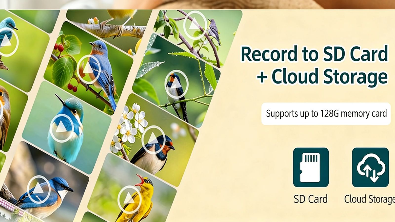 Compact Smart Bird Feeder with AI Identification product detail 12