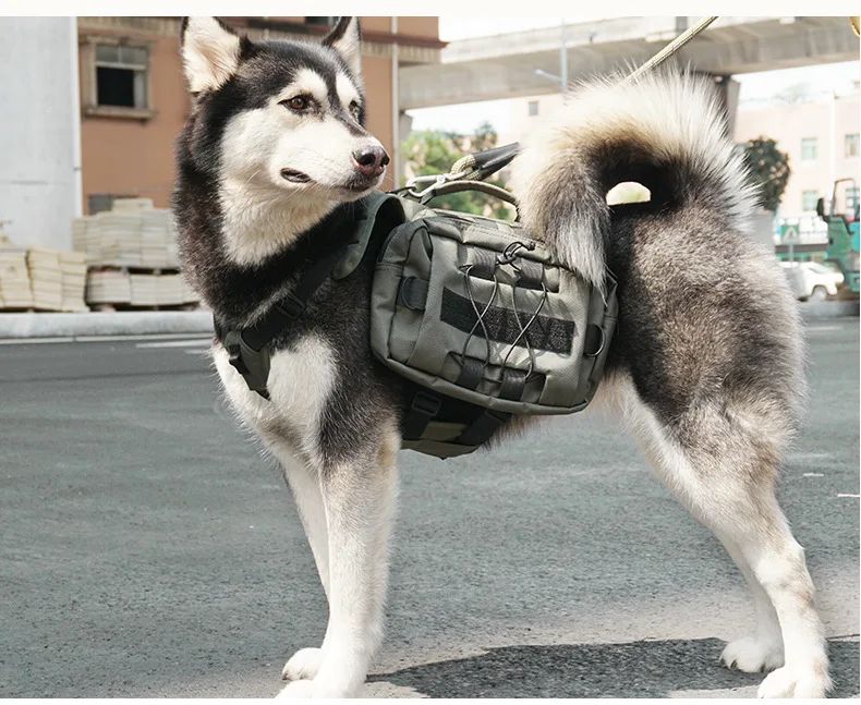 Cross-Border Bestseller Outdoor Tactical Nylon Dog Harness product detail 4
