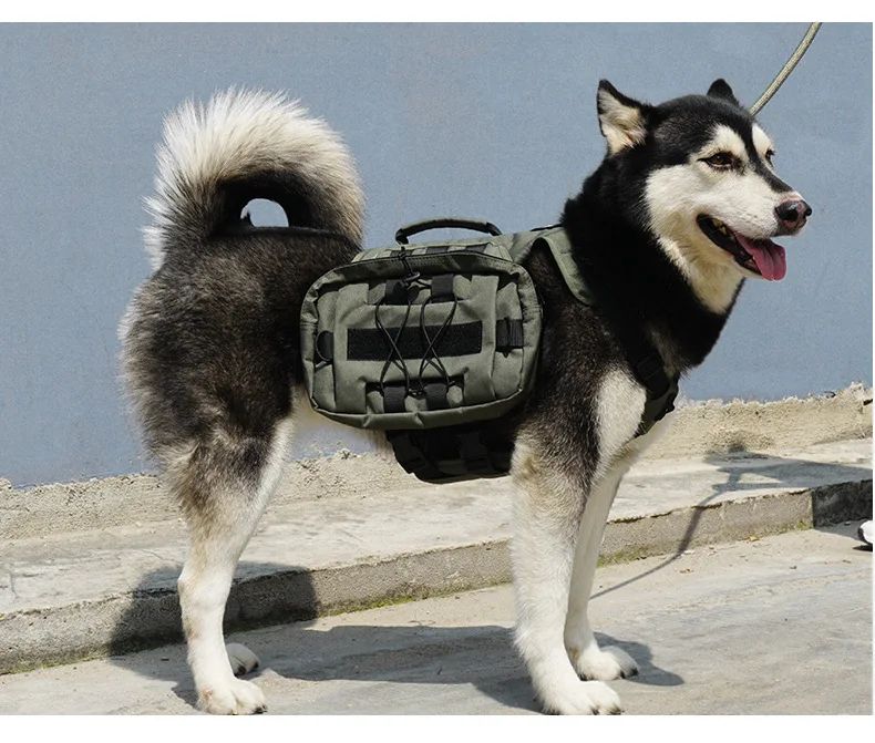 Cross-Border Bestseller Outdoor Tactical Nylon Dog Harness product detail 7