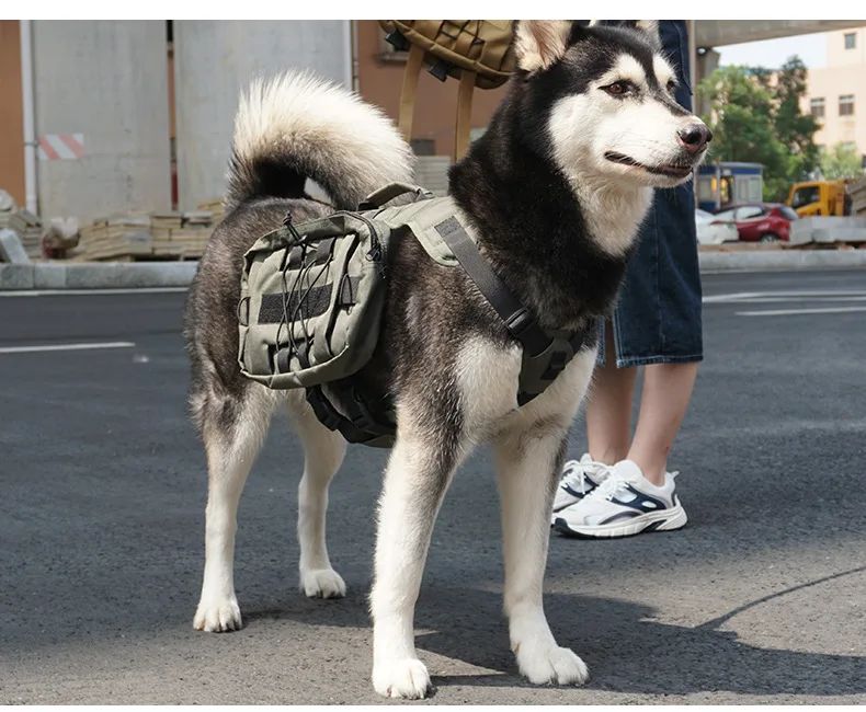 Cross-Border Bestseller Outdoor Tactical Nylon Dog Harness product detail 8