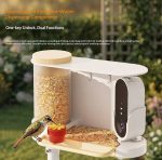 Cross-border Smart Bird Feeder Camera AI-powered Bird gallery 07