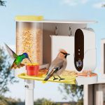 Cross-border Smart Bird Feeder Camera AI-powered Bird main