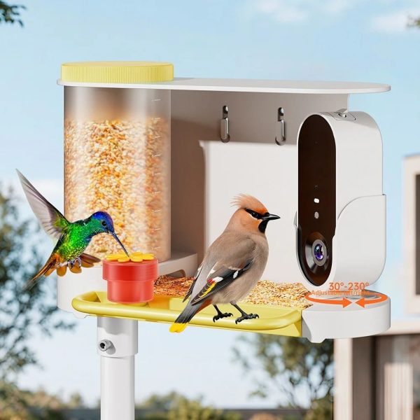 Cross-border Smart Bird Feeder Camera AI-powered Bird main