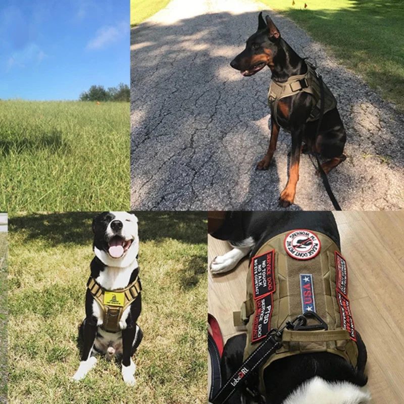 Customized Adjustable Dog Training Harness Service Dog product detail 2