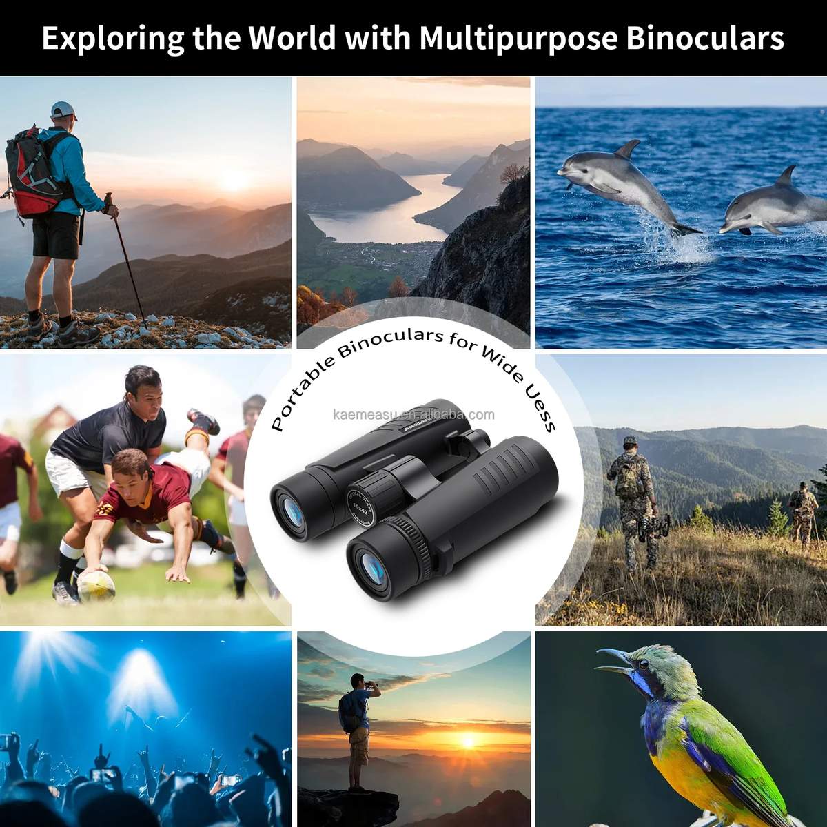 D 8X Compact 8X42 Binoculars Lightweight Binoculars Compact product detail 9