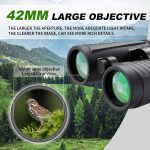 D 8X Compact 8X42 Binoculars Lightweight Binoculars Compact gallery 04