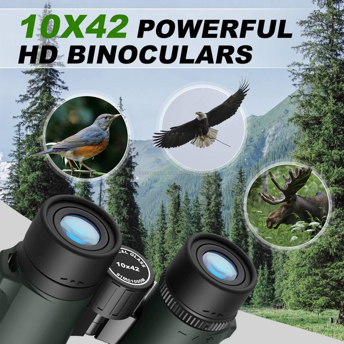 D 8X Compact 8X42 Binoculars Lightweight for Camping product detail 9