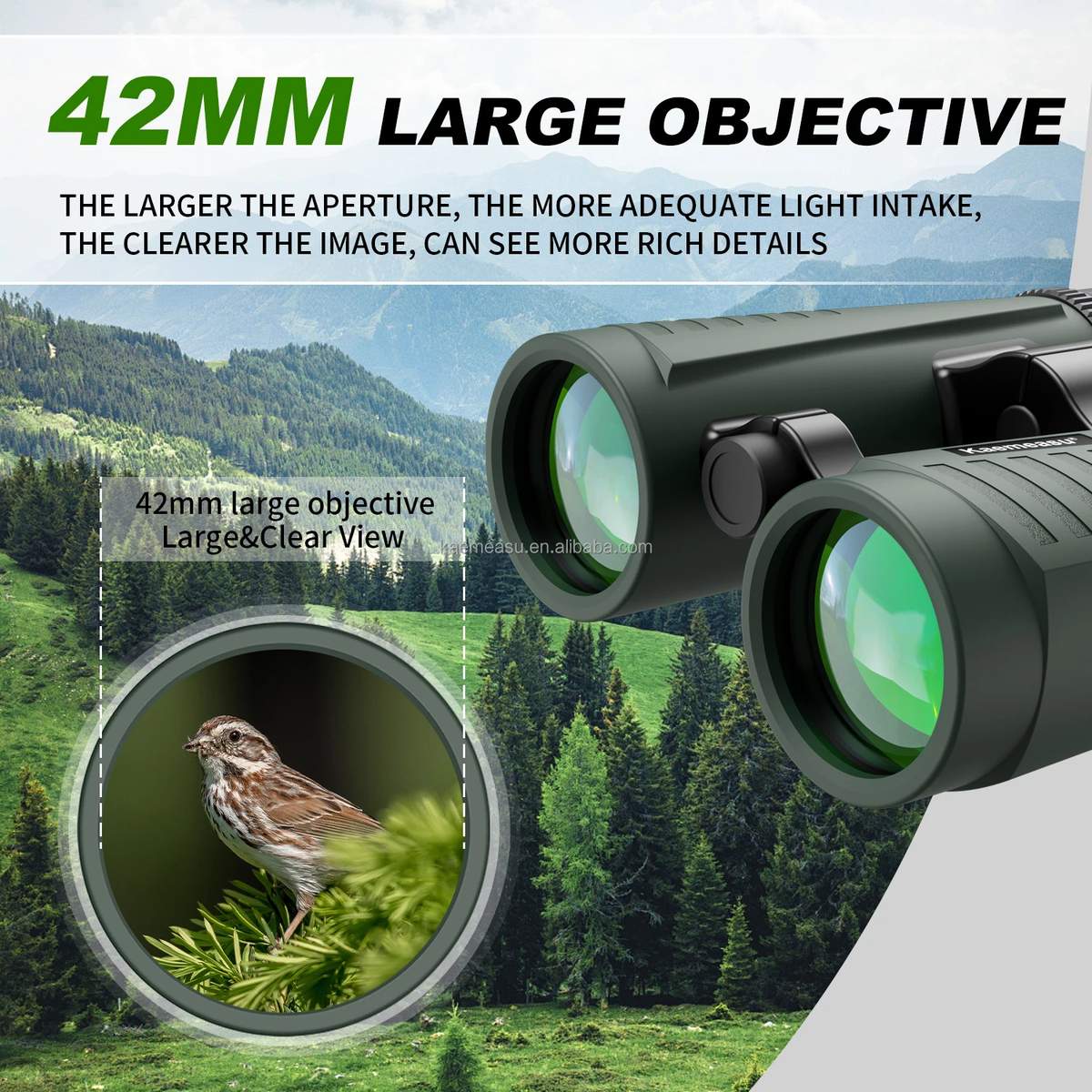 D 8X Compact 8X42 Binoculars Lightweight for Camping product detail 10
