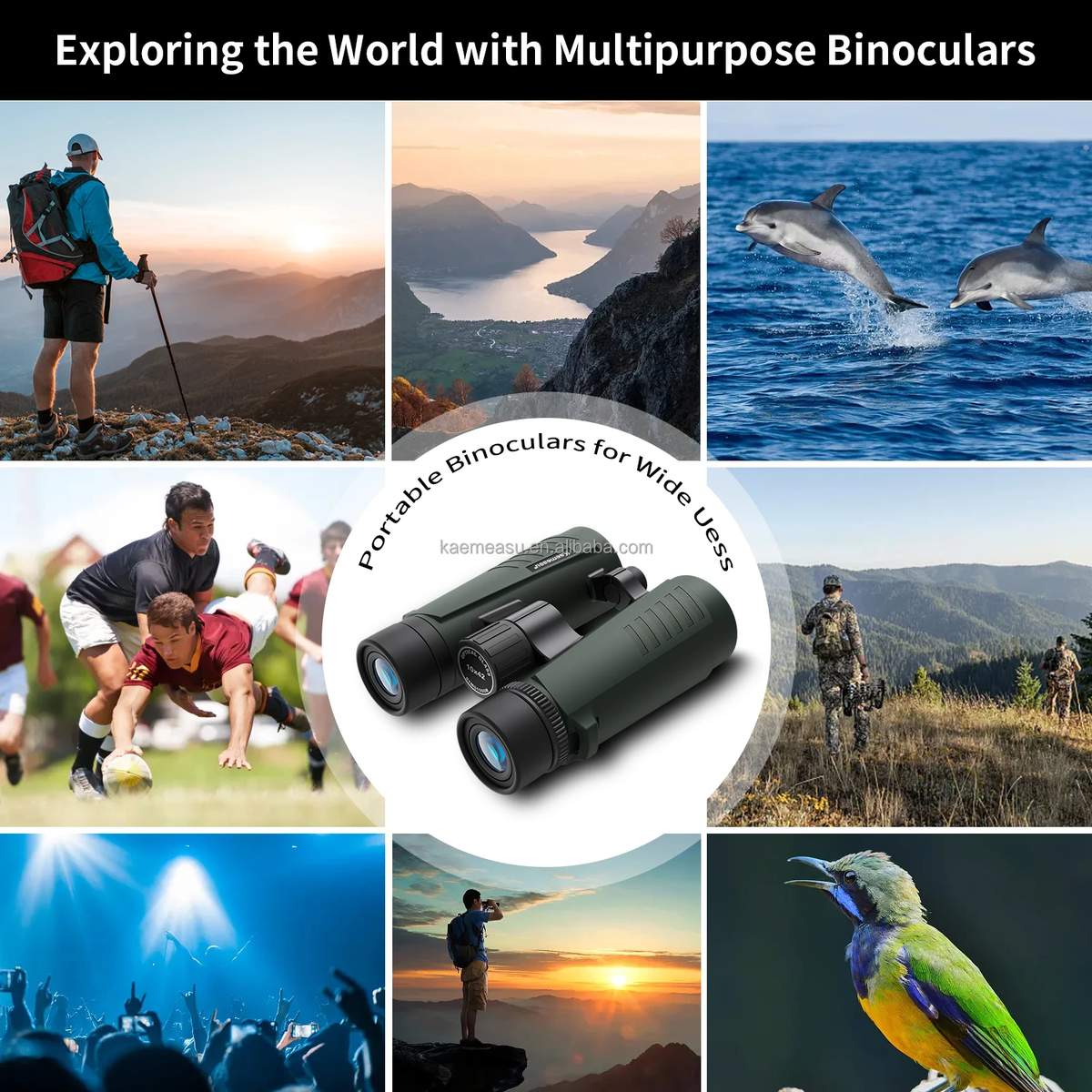 D 8X Compact 8X42 Binoculars Lightweight for Camping product detail 11