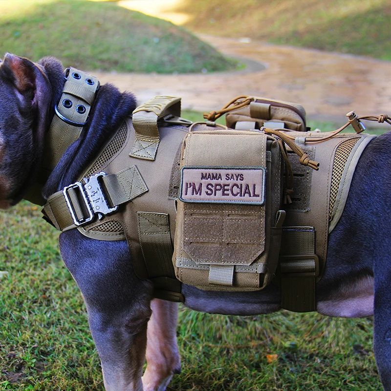 Dog Vest Harness Set with Pouch Accessories Custom product detail 5