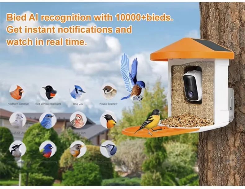 Elecpet Solar Powered AI Smart Bird Feeder with product detail 6