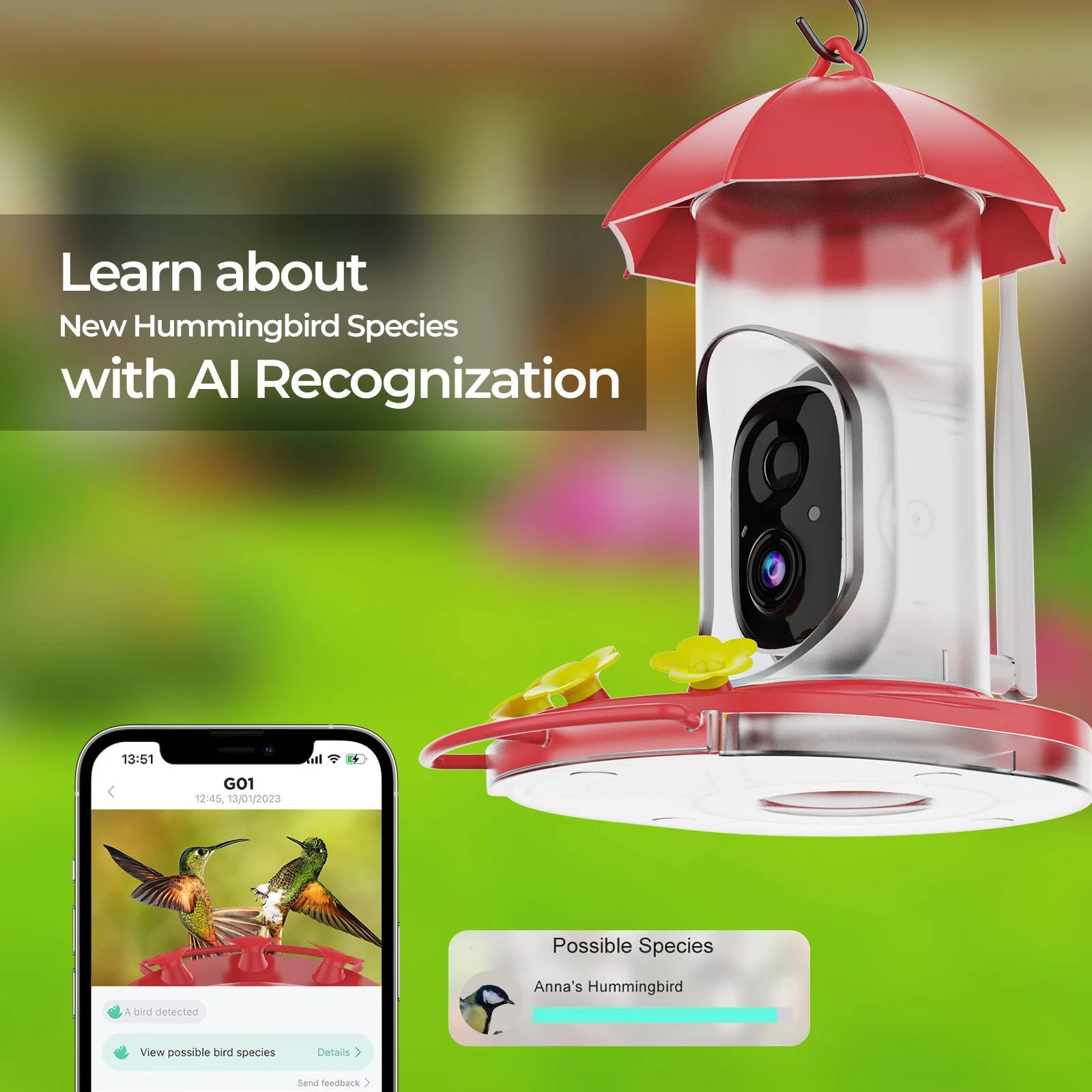 Garden Hummingbird Water Feeder with High Resolution Camera product detail 1