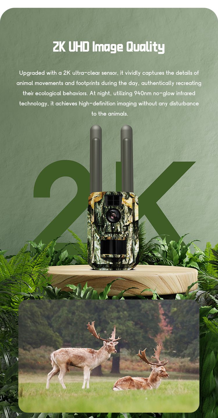 HD Night Vision Hunting Camera with Solar Panel MinMax Outdoors product detail image 4
