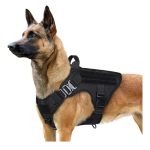 Heavy Duty No-Pull Service Dog Vest Large Breed gallery 01
