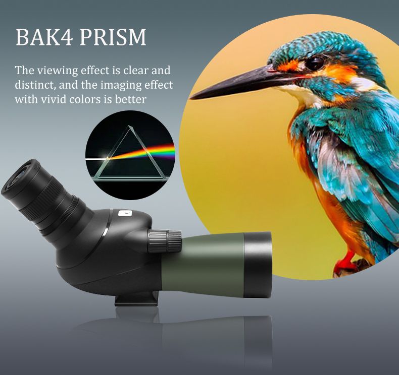 High Quality 12-36x50 Spotting Scope HD BAK4 Prism product detail 2