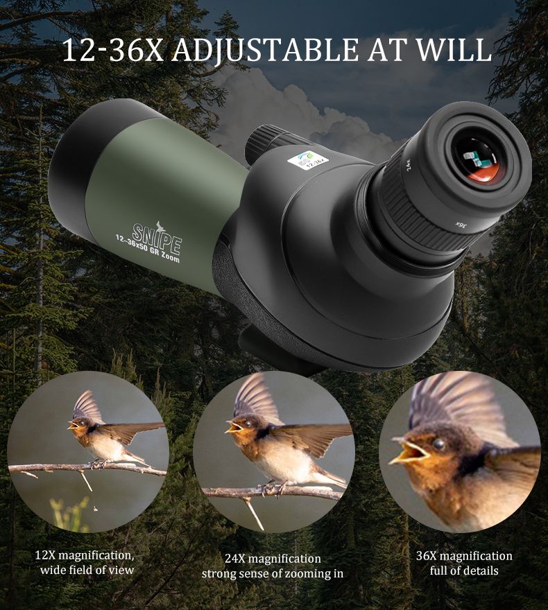 High Quality 12-36x50 Spotting Scope HD BAK4 Prism product detail 6