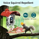 High Quality Safe Smart Solar Bird Feeder with gallery 04