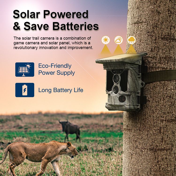 High Quality Support APP 4K WIFI Solar Powered MinMax Outdoors product detail image 3